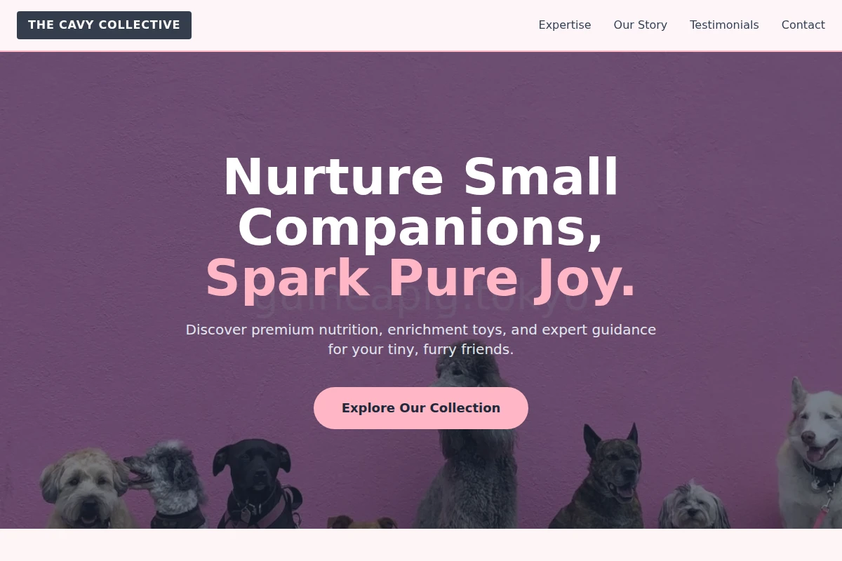 Squeak Pet Shop