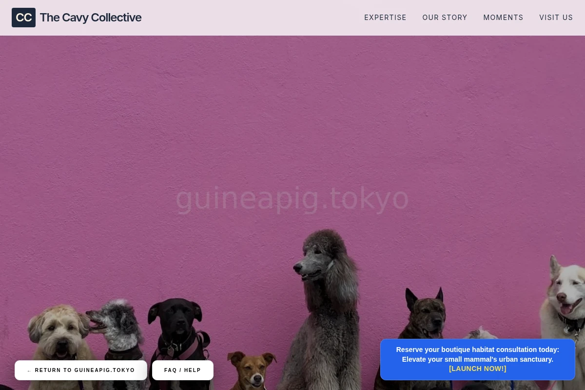 Forage Pet Shop