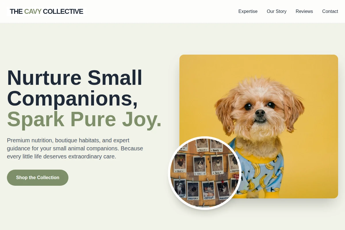Burrow Pet Shop