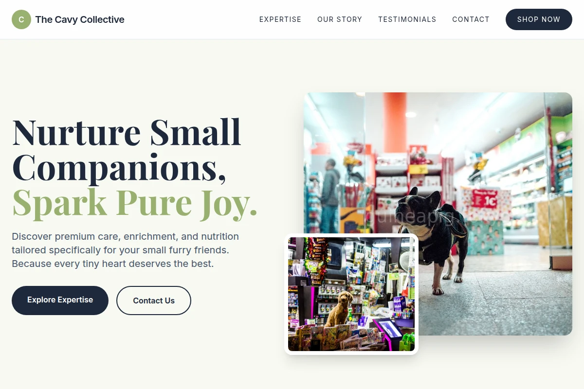 Pet Pet Shop