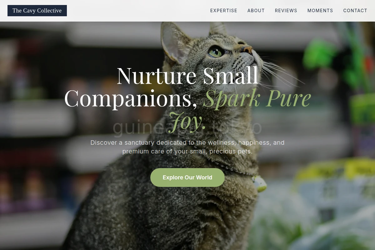 Zen Pet Shop