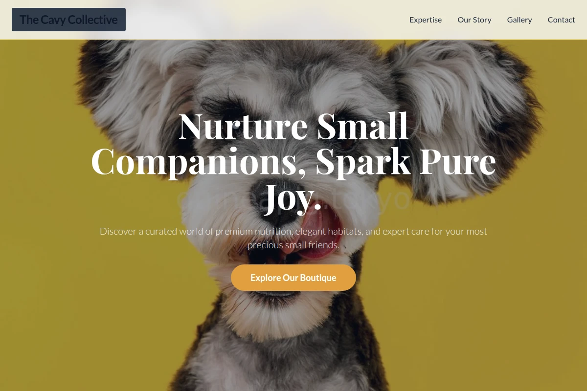 Boutique Pet Shop
