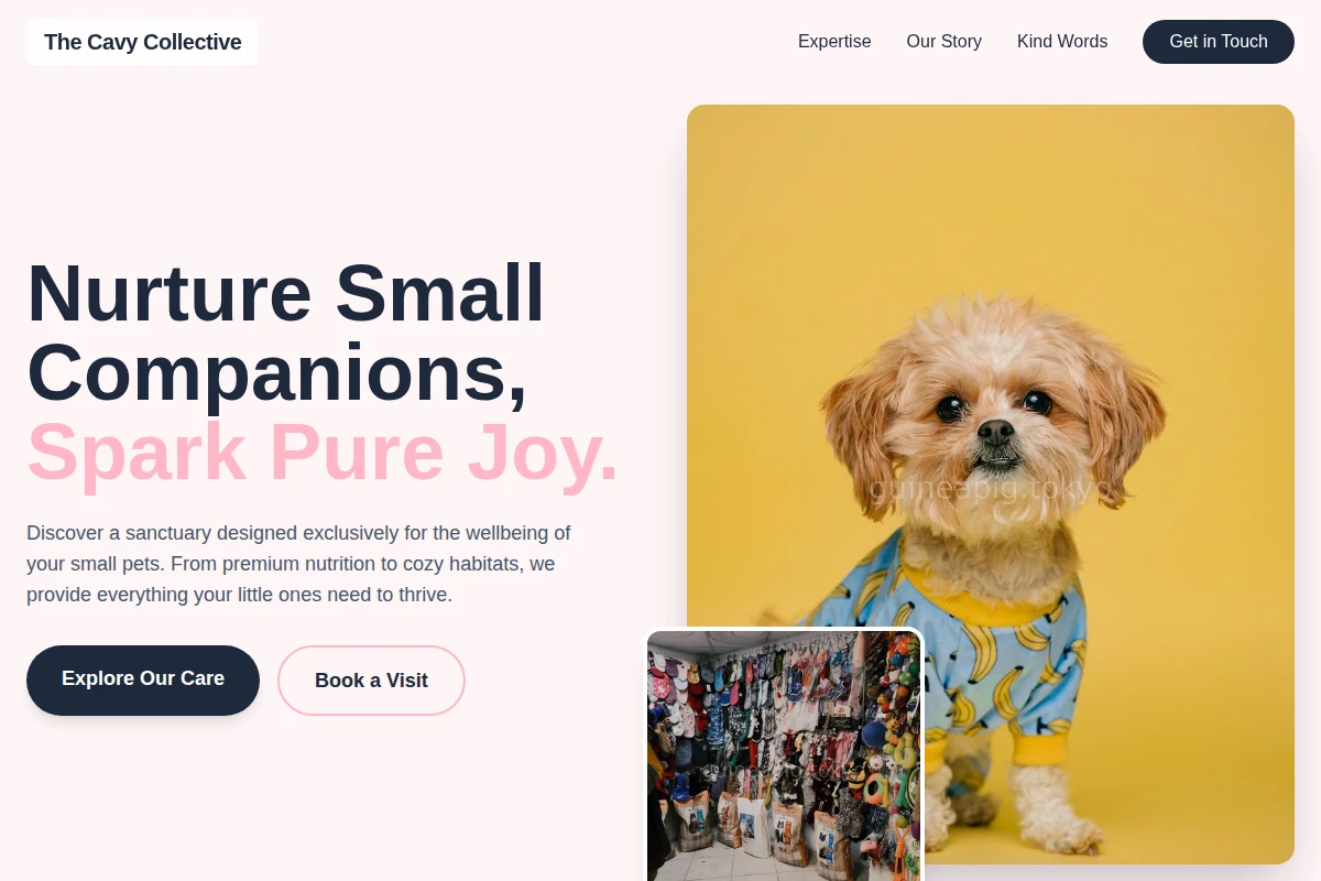 Meadow Pet Shop