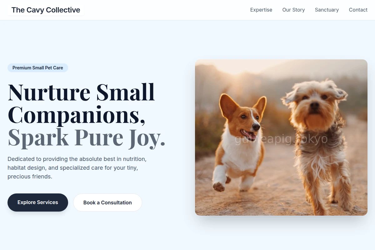 Companion Pet Shop