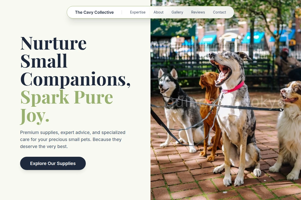 Burrow Pet Shop