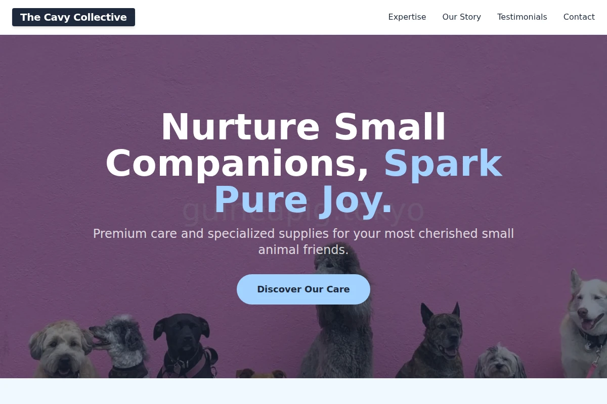 Companion Pet Shop