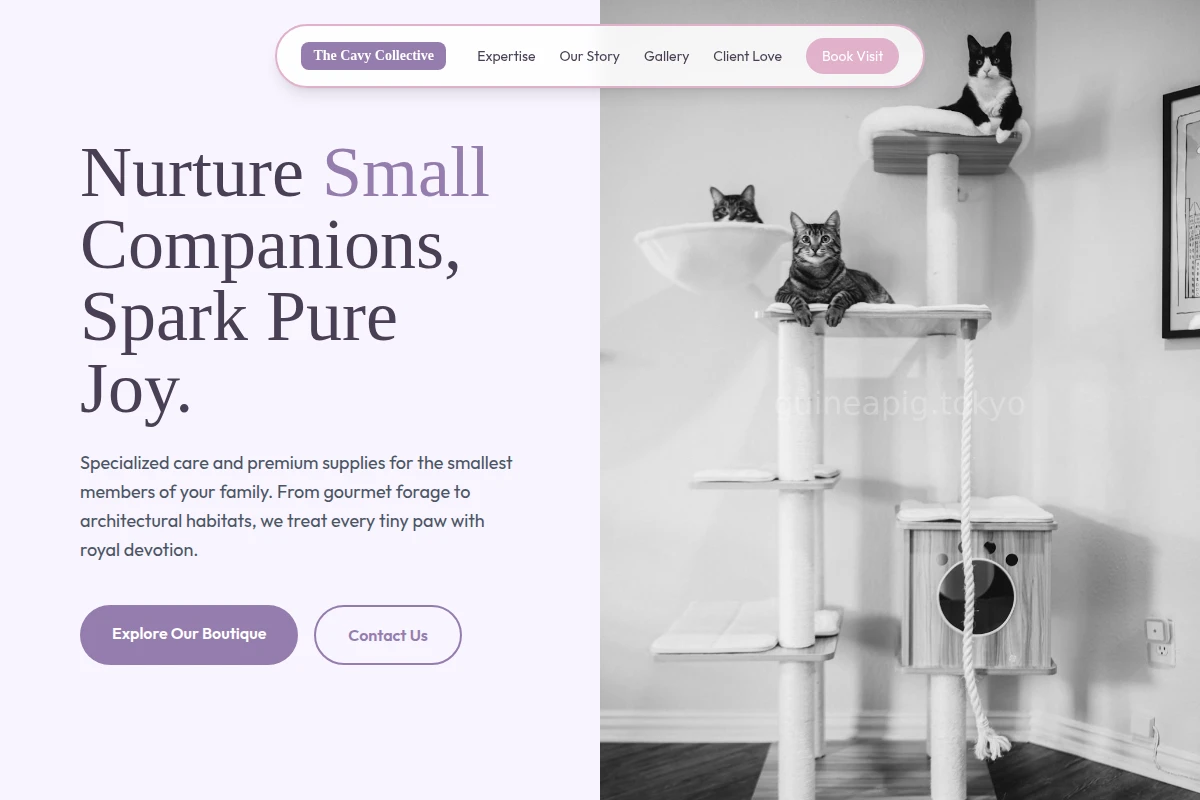 Soft Pet Shop