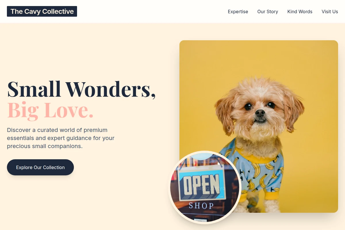 Boutique Pet Shop