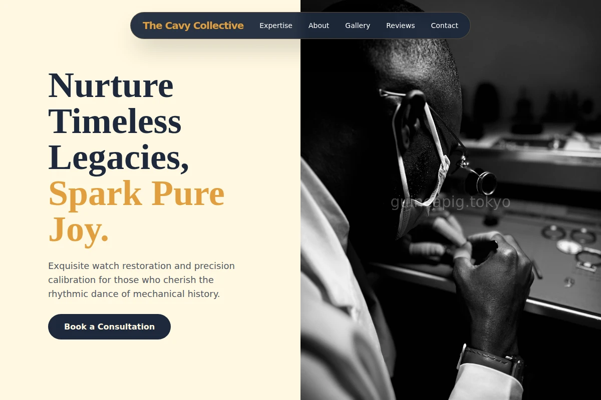 Gentle Watchmaker